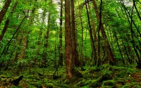 世界体能恢复示范案例征集：优秀方案推广全国，世界体能大赛